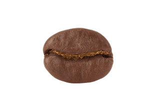 coffee bean